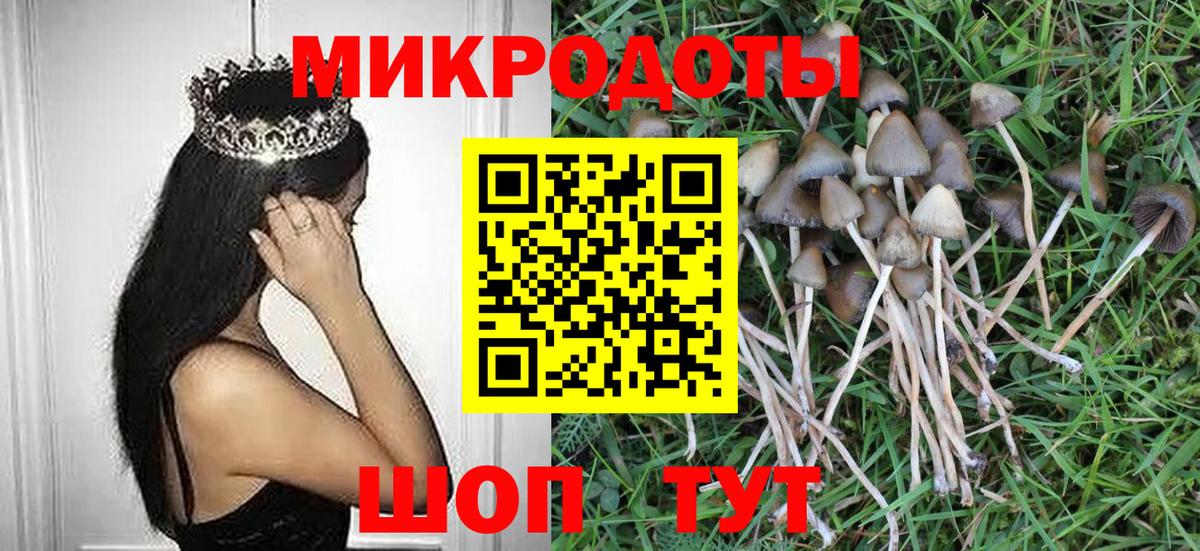 Псилоцибиновые грибы MAGIC MUSHROOMS Кинель